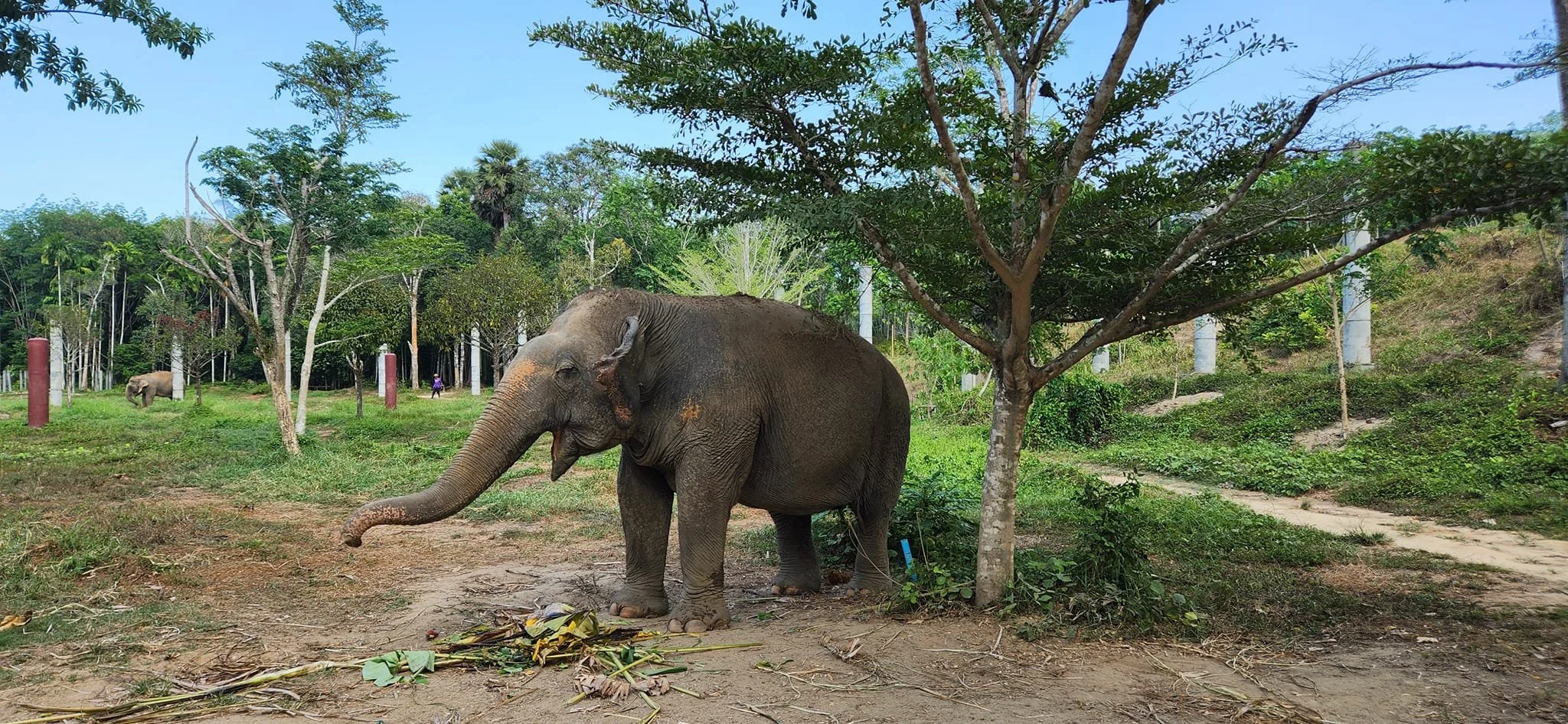 Escobar Escapes travel memory, photo 261