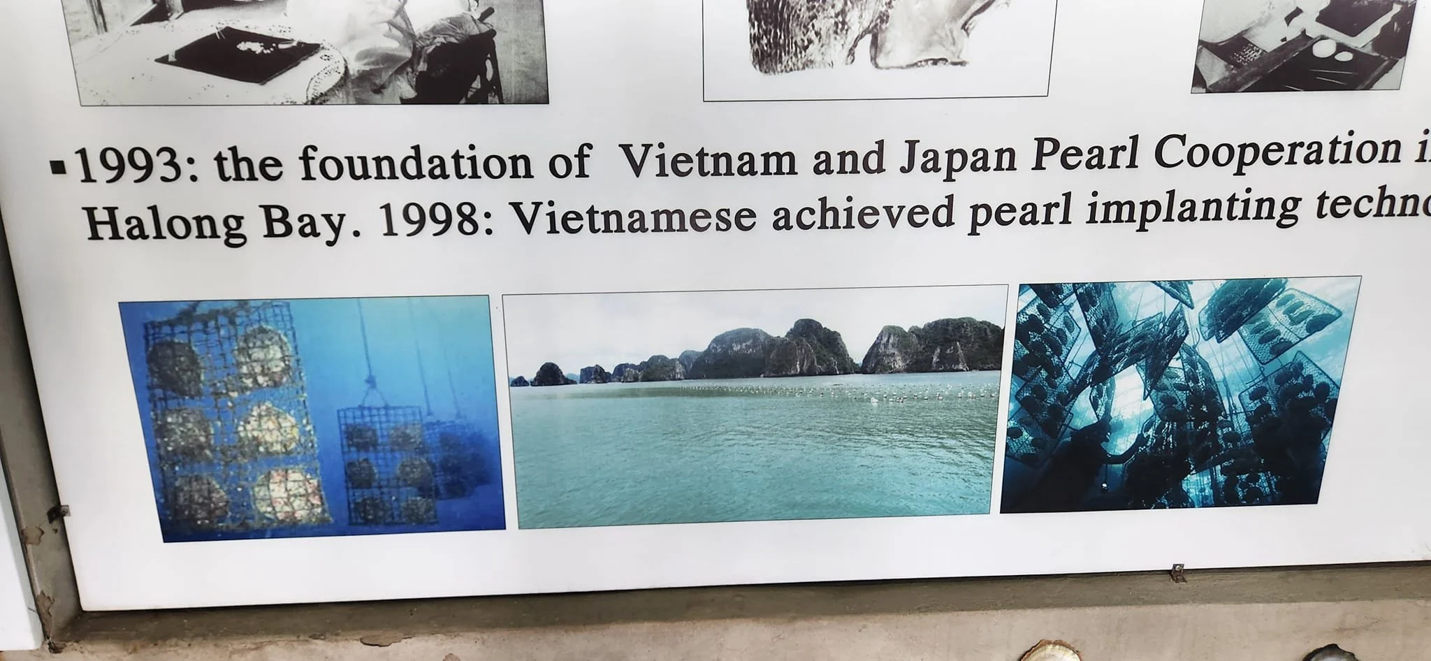 Escobar Escapes travel memory, photo 326