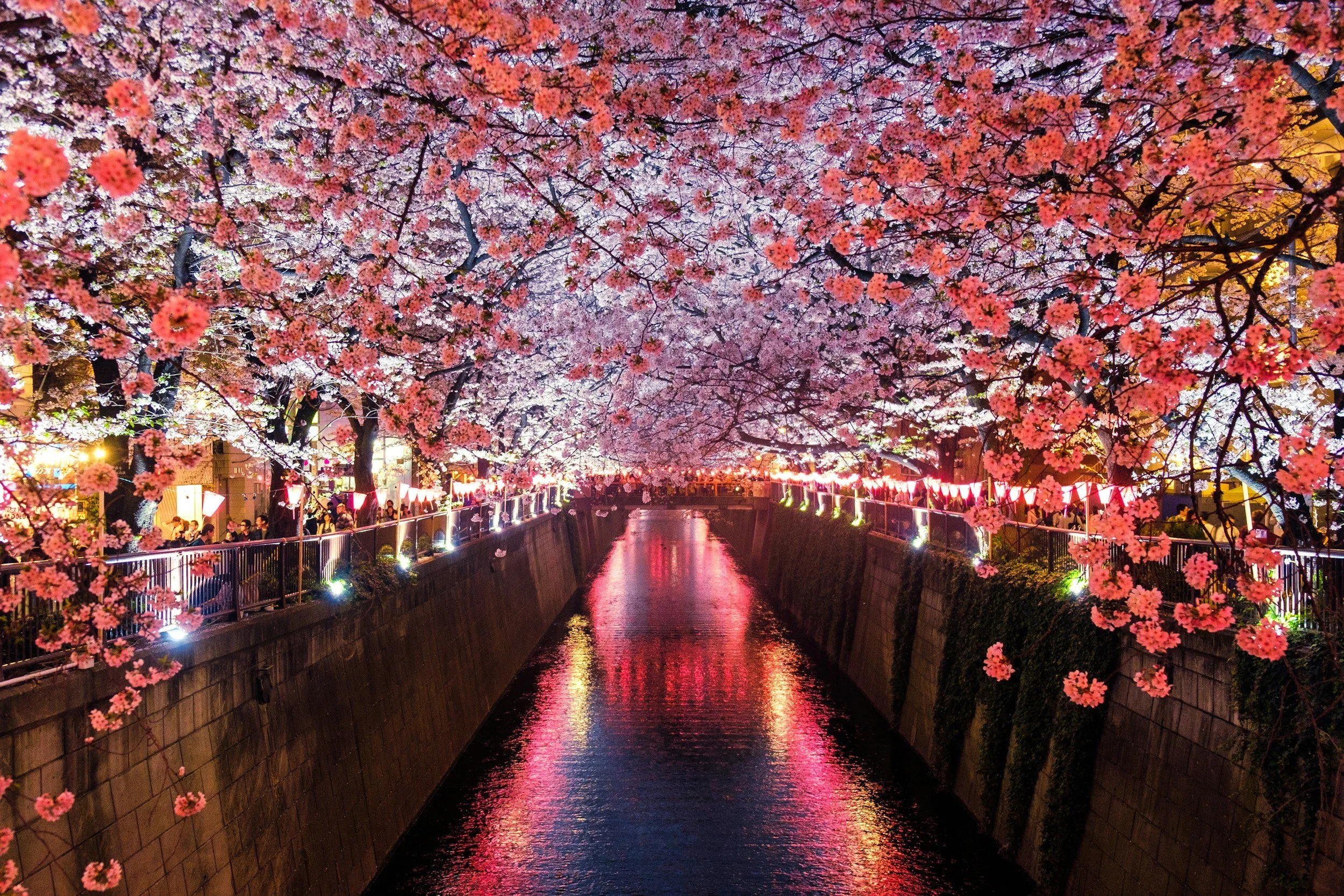 We’re Escaping to Japan